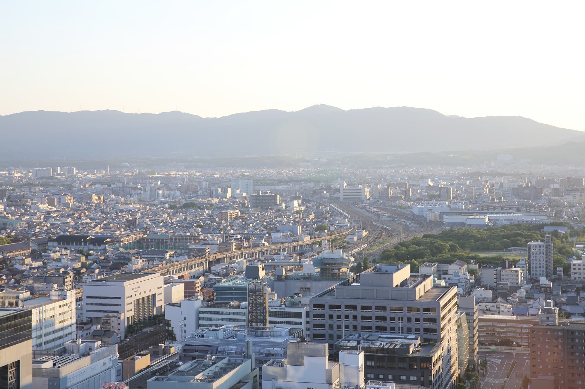 トラスト保険サービス